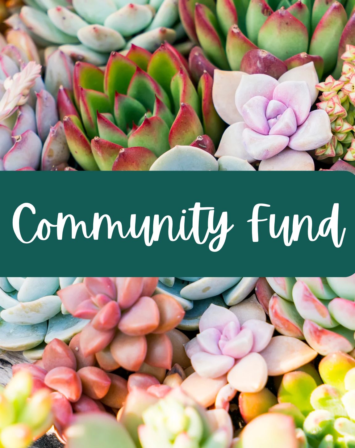 Community Fund