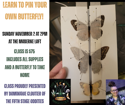 Kansas City Butterfly Pinning Class | November 2nd