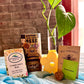A Little Leafy Moment self care box with plant cutting, propagation stand, seed kits, and natural soap
