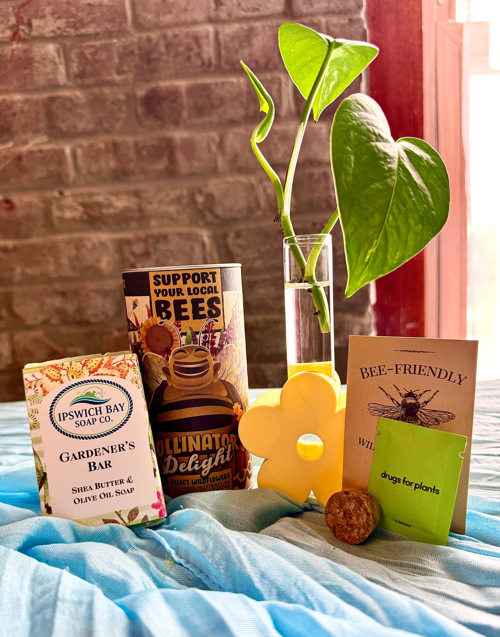 A Little Leafy Moment self care box with plant cutting, propagation stand, seed kits, and natural soap