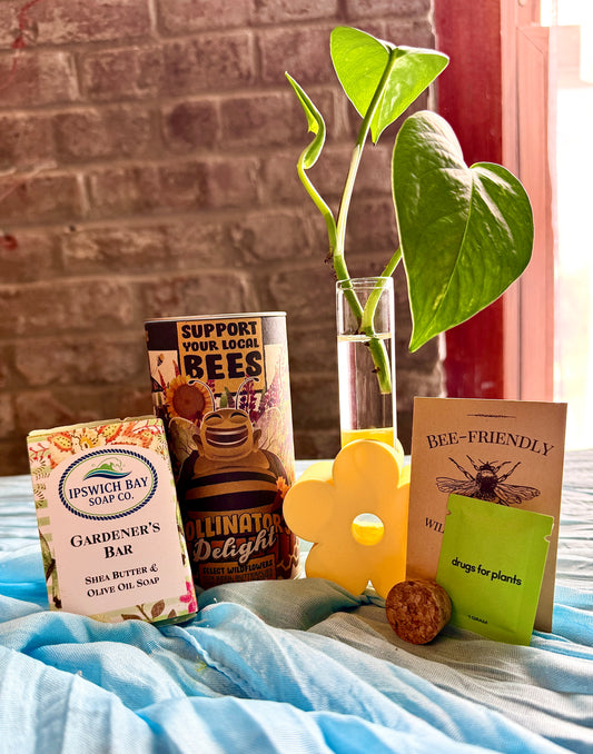A Little Leafy Moment self care box with plant cutting, propagation stand, seed kits, and natural soap