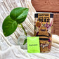 Thoughtful plant themed gift with propagation kit and seed starter set