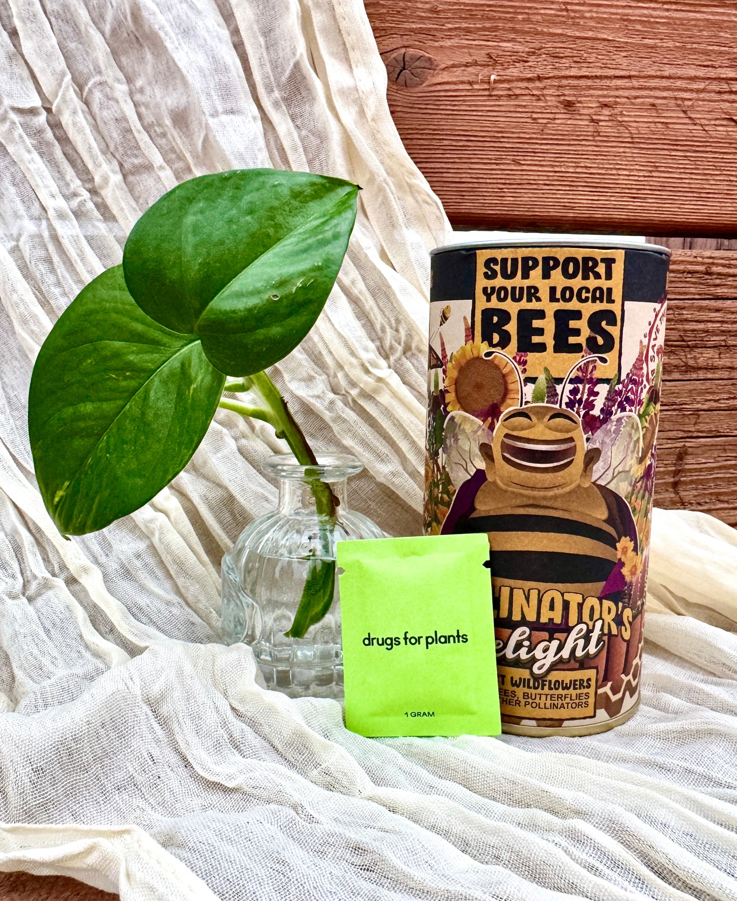 Thoughtful plant themed gift with propagation kit and seed starter set