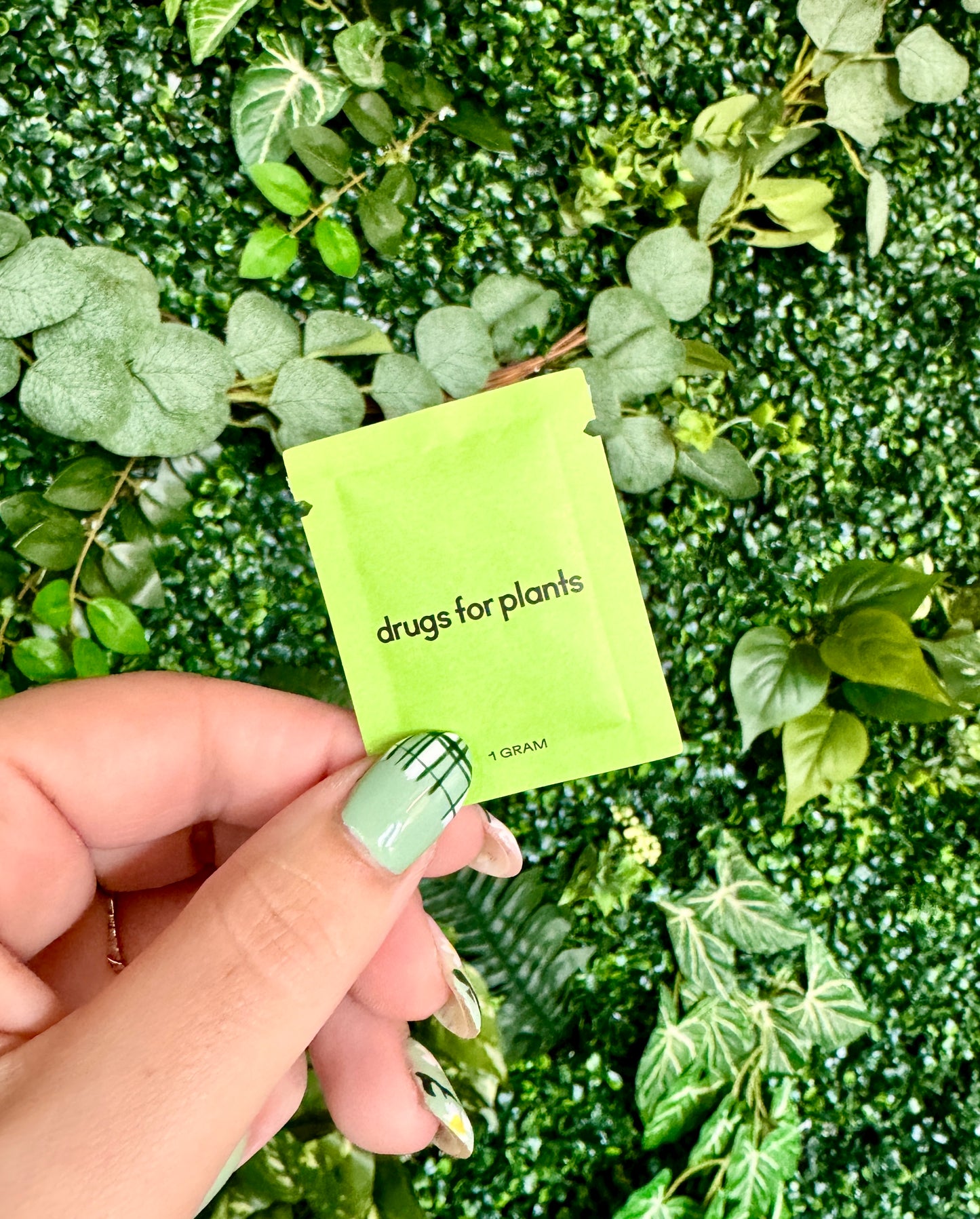 Indoor plant fertilizer packet for beginner plant care