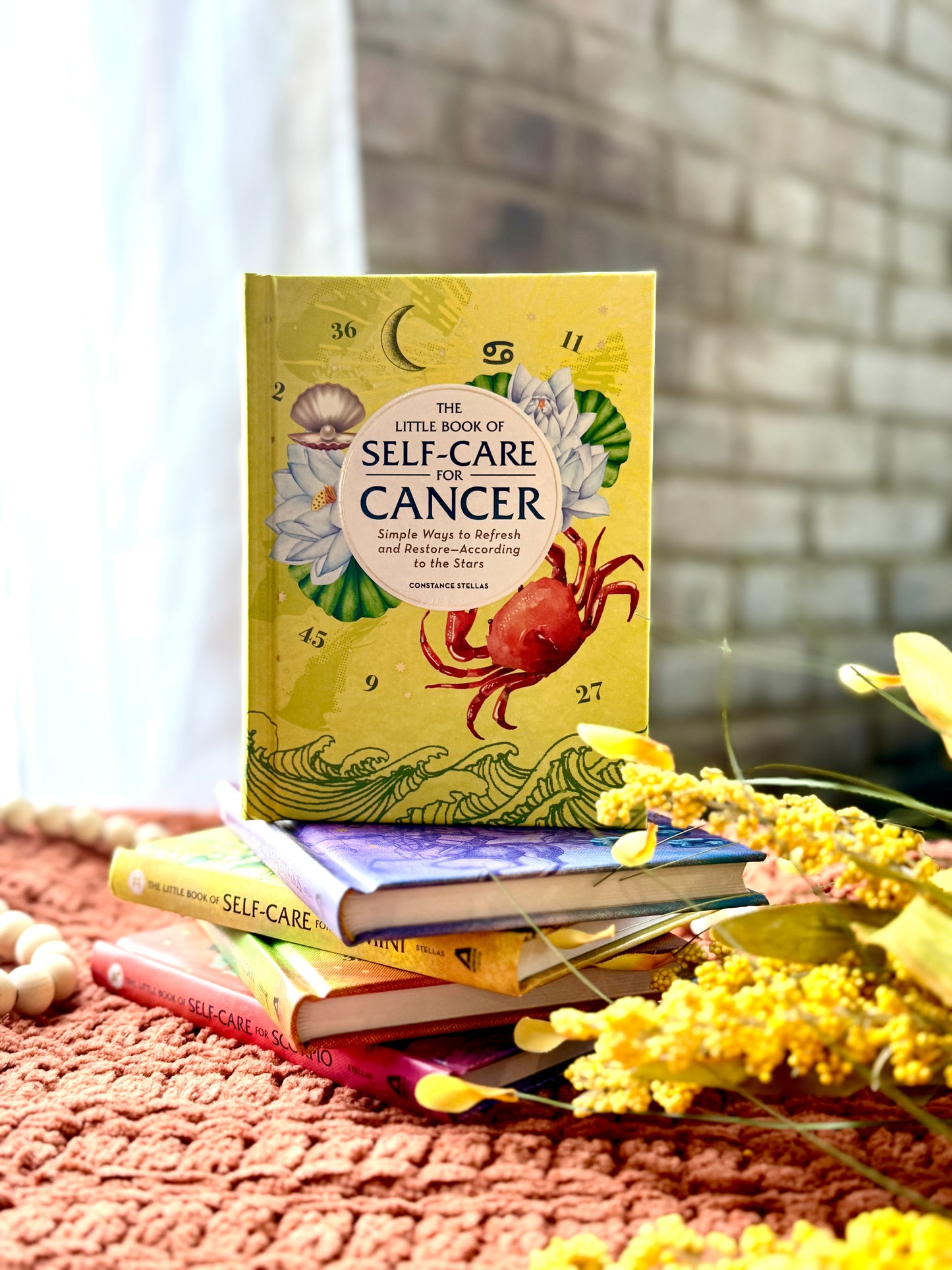 Astrology Self-Care Books
